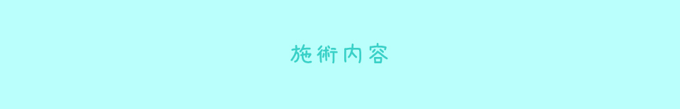 施術内容